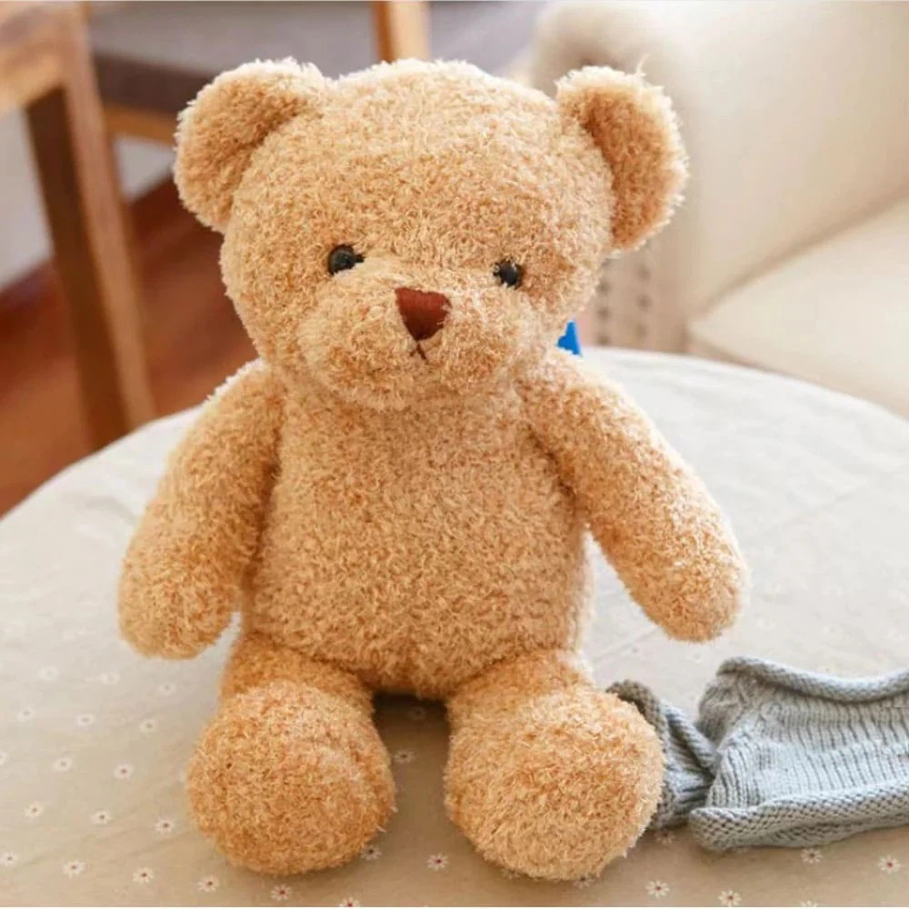 How a tiny camera fits inside a teddy bear How a tiny camera fits inside a teddy bear