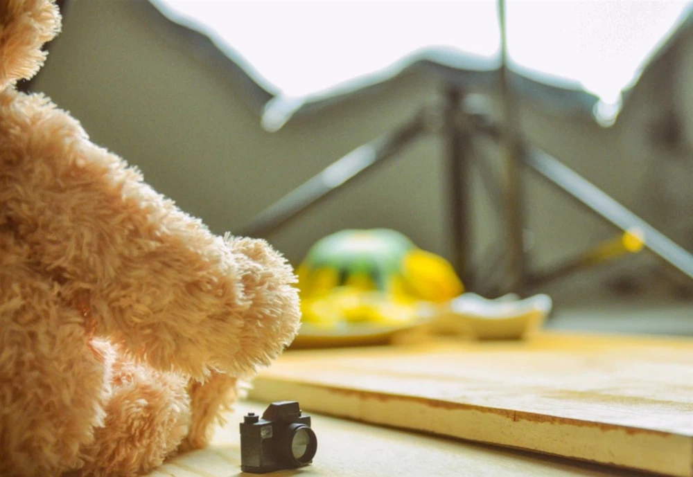 How to Tell If a Teddy Bear Has a Camera How to Tell If a Teddy Bear Has a Camera